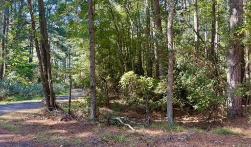 Photo #3 of Lot 552 CAPE HORN CT, GREENBACKVILLE, VA 0.3 acres