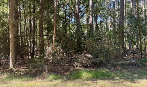 Photo #4 of Lot 552 CAPE HORN CT, GREENBACKVILLE, VA 0.3 acres