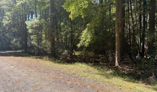 Photo #5 of Lot 552 CAPE HORN CT, GREENBACKVILLE, VA 0.3 acres