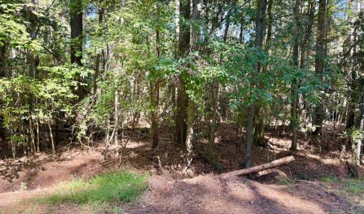 Photo #6 of Lot 552 CAPE HORN CT, GREENBACKVILLE, VA 0.3 acres