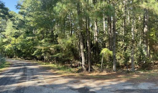Photo #7 of Lot 552 CAPE HORN CT, GREENBACKVILLE, VA 0.3 acres