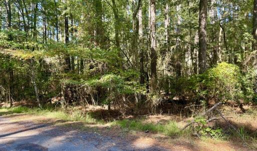 Photo #8 of Lot 552 CAPE HORN CT, GREENBACKVILLE, VA 0.3 acres