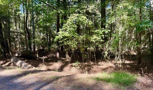 Photo #9 of Lot 552 CAPE HORN CT, GREENBACKVILLE, VA 0.3 acres