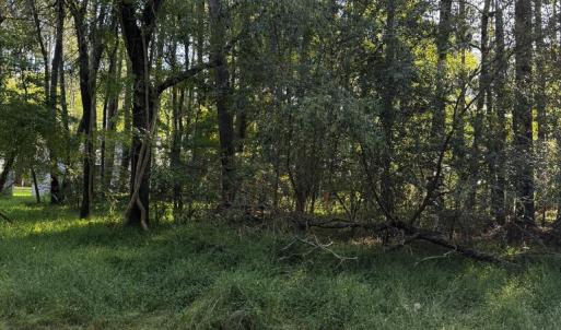 Photo #3 of Lot 232 SMUGGLERS WAY, GREENBACKVILLE, VA 0.2 acres