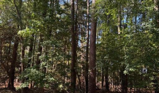 Photo #2 of Lot 485 DRY DOCK CT, GREENBACKVILLE, VA 9,939.0 acres