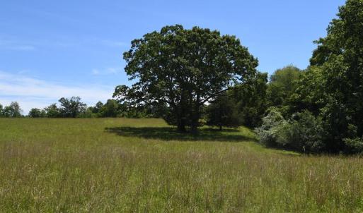 Photo #1 of SLATE MILLS ROAD, SPERRYVILLE, VA 100.2 acres