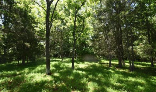 Photo #9 of SLATE MILLS ROAD, SPERRYVILLE, VA 100.2 acres