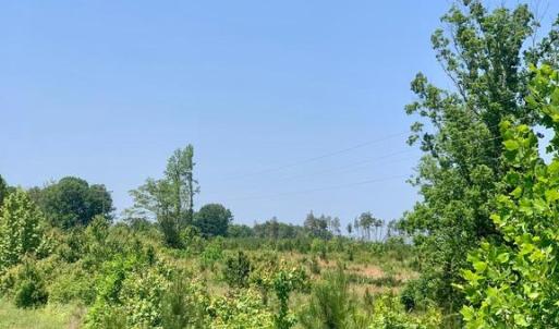 Photo #3 of 5326 ZACHARY TAYLOR HWY, MINERAL, VA 16.7 acres
