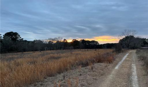 Photo #6 of TBD Hwy 87/ Broadway Rd., Sanford, NC 7.8 acres