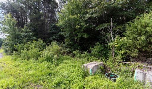 Photo #8 of 4720 MASSAPONAX CHURCH RD, FREDERICKSBURG, VA 46.8 acres