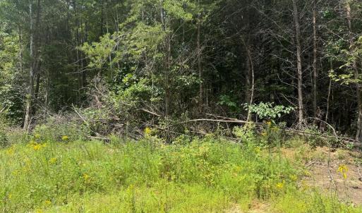 Photo #2 of BUCKNER RD, MINERAL, VA 10.0 acres