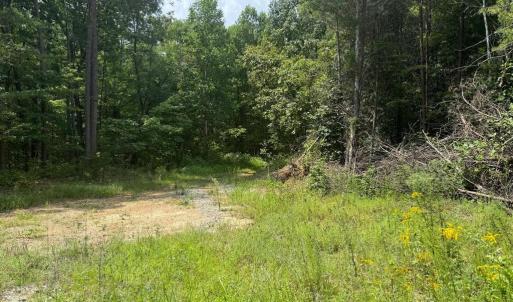 Photo #3 of BUCKNER RD, MINERAL, VA 10.0 acres
