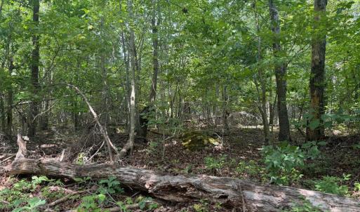 Photo #1 of BUCKNER RD, MINERAL, VA 10.0 acres
