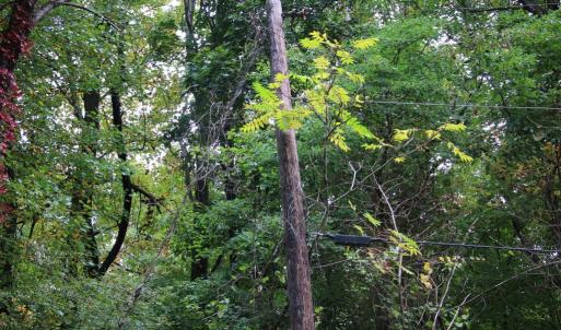 Photo #3 of 1066 S LAKEVIEW DR, STANLEY, VA 1.8 acres