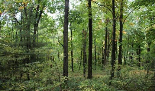 Photo #8 of 1066 S LAKEVIEW DR, STANLEY, VA 1.8 acres
