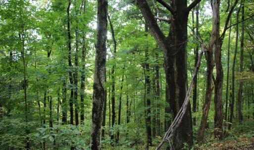 Photo #12 of 1066 S LAKEVIEW DR, STANLEY, VA 1.8 acres