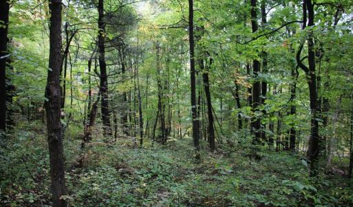 Photo #6 of 1066 S LAKEVIEW DR, STANLEY, VA 1.8 acres