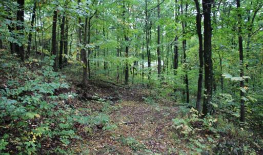 Photo #14 of 1066 S LAKEVIEW DR, STANLEY, VA 1.8 acres