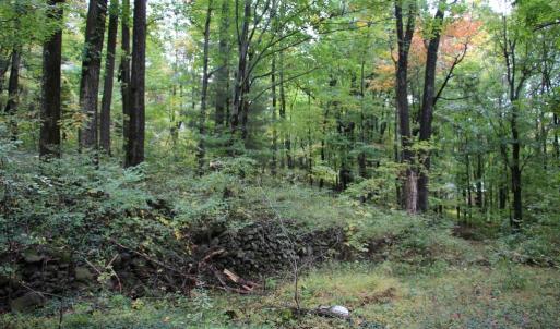 Photo #16 of 1066 S LAKEVIEW DR, STANLEY, VA 1.8 acres