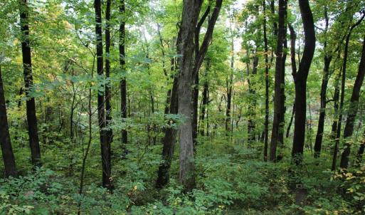 Photo #18 of 1066 S LAKEVIEW DR, STANLEY, VA 1.8 acres