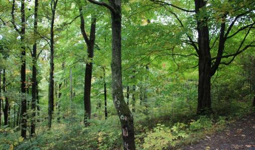 Photo #20 of 1066 S LAKEVIEW DR, STANLEY, VA 1.8 acres