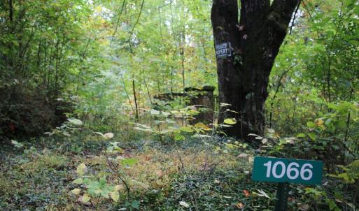 Photo #22 of 1066 S LAKEVIEW DR, STANLEY, VA 1.8 acres
