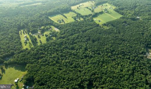 Photo #8 of SILLAMON, GOLDVEIN, VA 53.0 acres