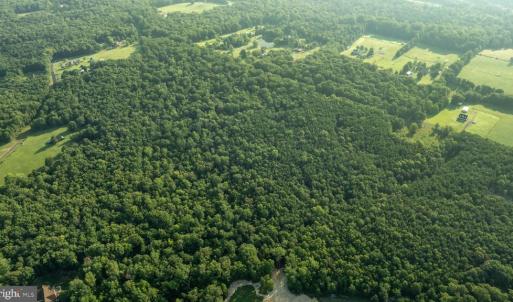 Photo #16 of SILLAMON, GOLDVEIN, VA 53.0 acres