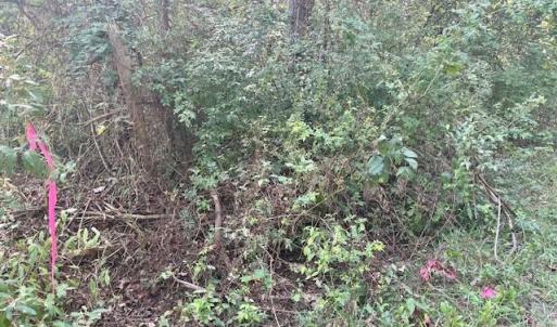 Photo #2 of GREENWAY LANE, LURAY, VA 0.7 acres