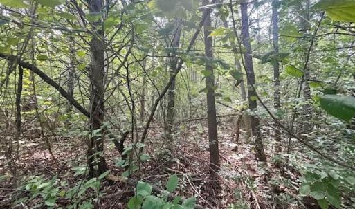 Photo #1 of GREENWAY LANE, LURAY, VA 0.7 acres