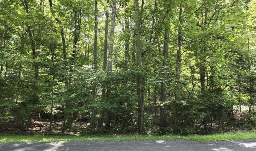 Photo #1 of 135 MONTICELLO CIR, LOCUST GROVE, VA 0.5 acres