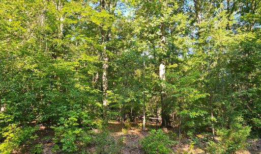 Photo #17 of 6200 BILLS RD, MINERAL, VA 1.0 acres