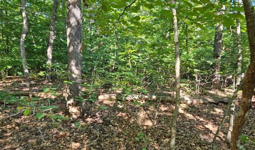 Photo #18 of 6200 BILLS RD, MINERAL, VA 1.0 acres