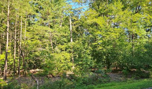 Photo #22 of 6202 BILLS RD, MINERAL, VA 1.0 acres