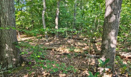 Photo #25 of 6202 BILLS RD, MINERAL, VA 1.0 acres