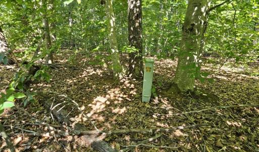 Photo #22 of 6202 BILLS RD, MINERAL, VA 1.0 acres