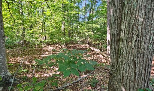 Photo #25 of 6202 BILLS RD, MINERAL, VA 1.0 acres