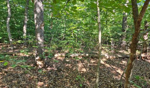 Photo #24 of 6202 BILLS RD, MINERAL, VA 1.0 acres