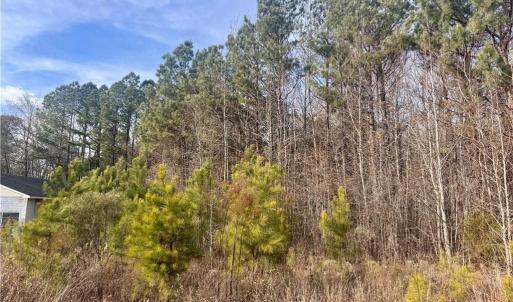 Photo #5 of Tramway, Sanford, NC 5.2 acres
