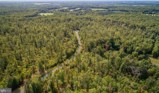 Photo #7 of ZACHARY TAYLOR HWY, UNIONVILLE, VA 20.3 acres