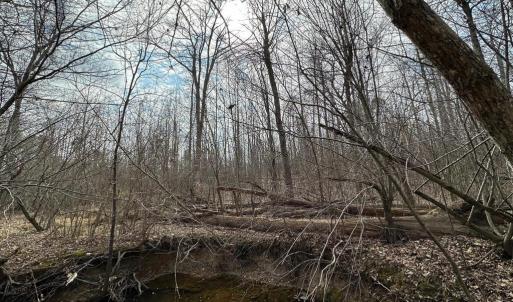 Photo #11 of ZACHARY TAYLOR HWY, UNIONVILLE, VA 20.3 acres