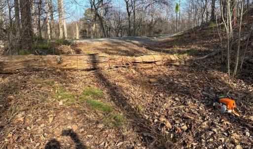 Photo #12 of ZACHARY TAYLOR HWY, UNIONVILLE, VA 20.3 acres