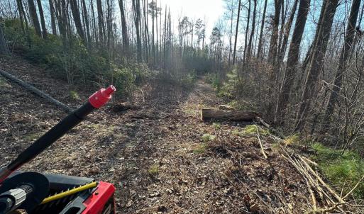 Photo #13 of ZACHARY TAYLOR HWY, UNIONVILLE, VA 20.3 acres