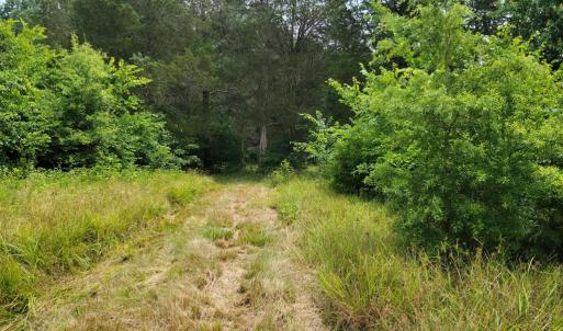 Photo #2 of UNASSIGNED, MIDLAND, VA 11.2 acres