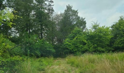 Photo #5 of UNASSIGNED, MIDLAND, VA 11.2 acres