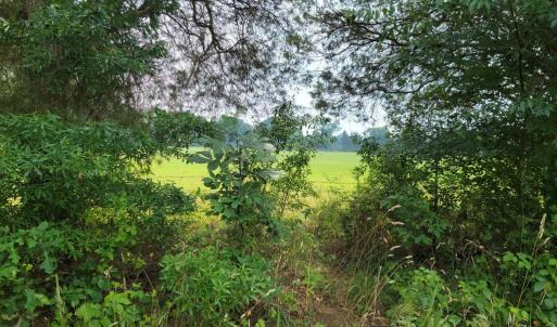 Photo #4 of UNASSIGNED, MIDLAND, VA 11.2 acres