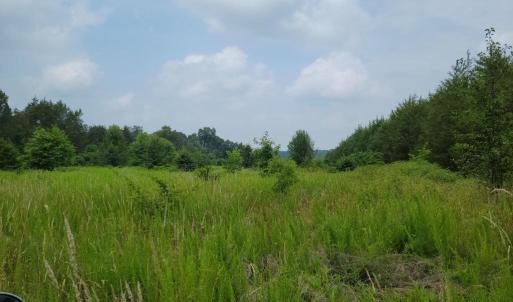 Photo #3 of UNASSIGNED, MIDLAND, VA 11.2 acres
