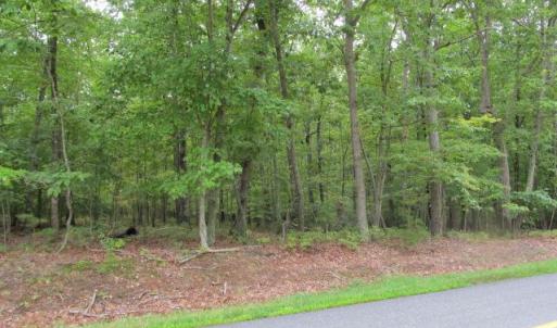 Photo #1 of KENDALL RD, ORANGE, VA 12.5 acres