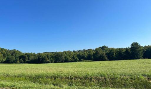 Photo #2 of 610 HOLLAND CREEK RD, LOUISA, VA 10.3 acres
