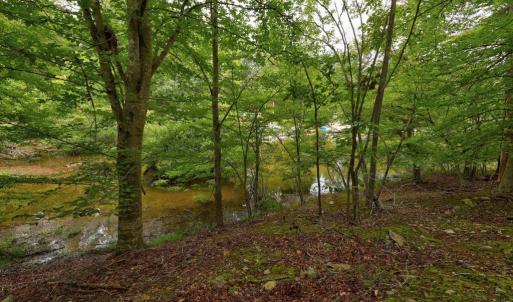 Photo #4 of JEFFERSON DR, PALMYRA, VA 0.5 acres